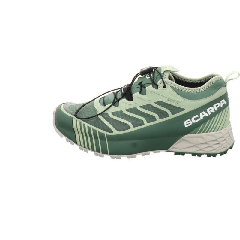 

Уличные кроссовки Ribelle Run GTX Lady SCARPA, цвет gruen