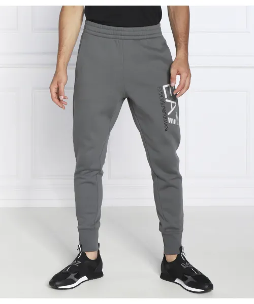 

Спортивные штаны Regular fit Ea7, серый