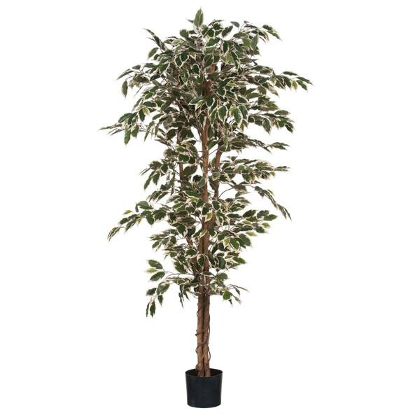 

Декоративное растение Mica Decorations Ficus цвет grün/bunt