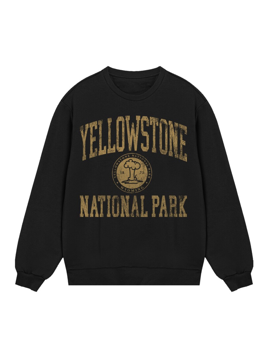

Толстовка F4NT4STIC US National Parks Yellowstone Wyoming, черный