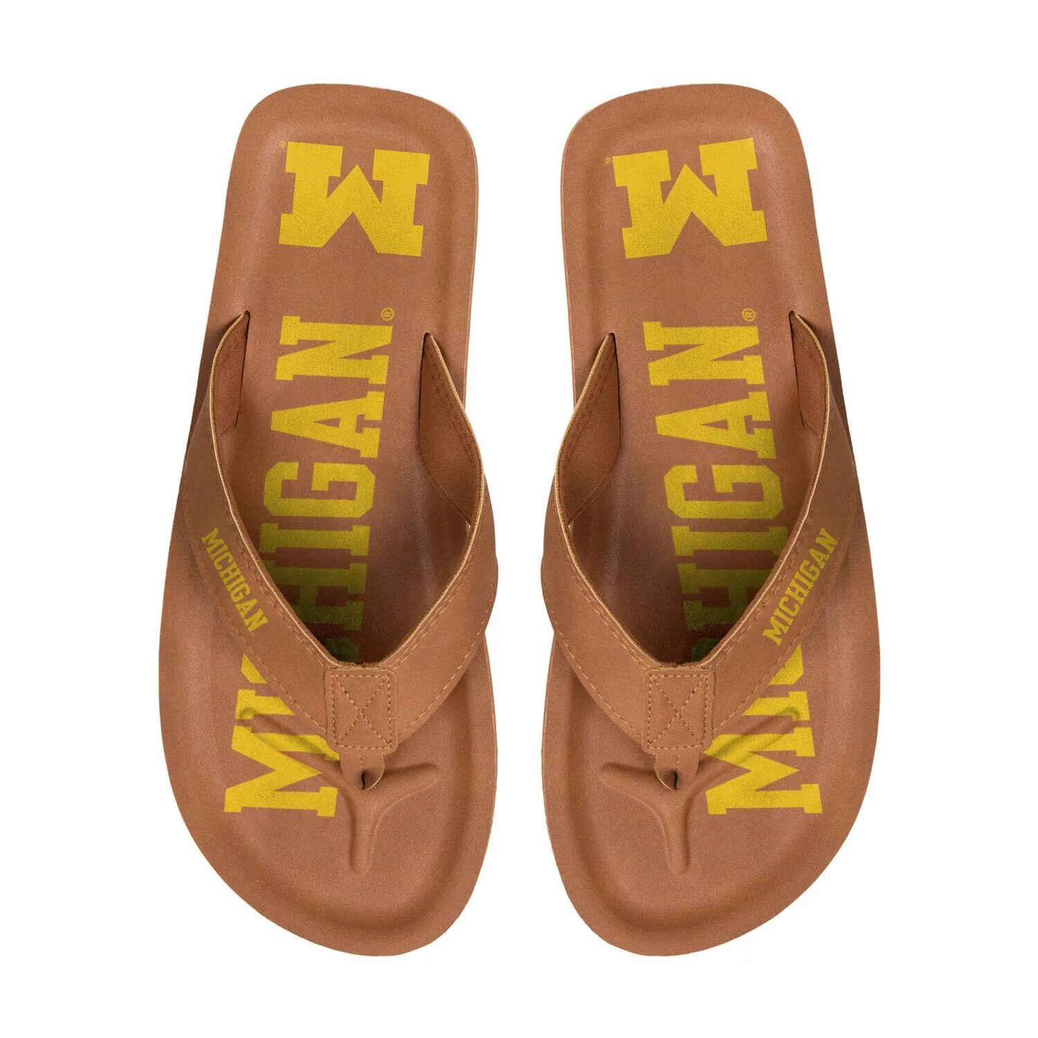 

Мужские шлепанцы FOCO Michigan Wolverines Color Pop