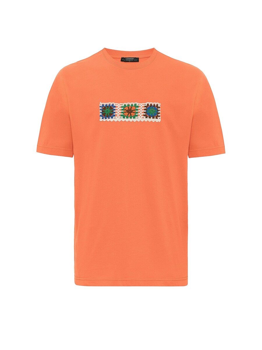 

Классическая футболка Antioch Shirt, оранжевый
