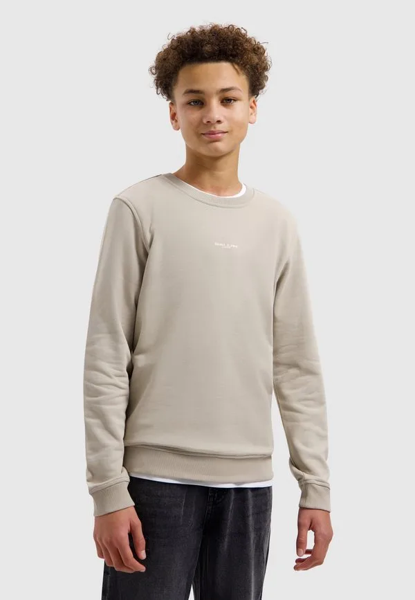 Свитер с круглым вырезом стандартного кроя Ballin, Taupe — фото 3