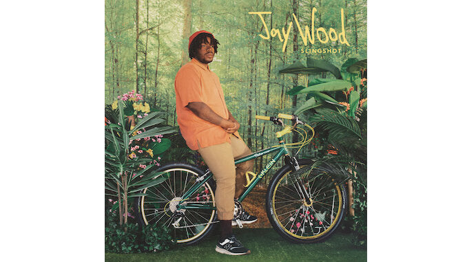 

CD диск Jaywood: Slingshot