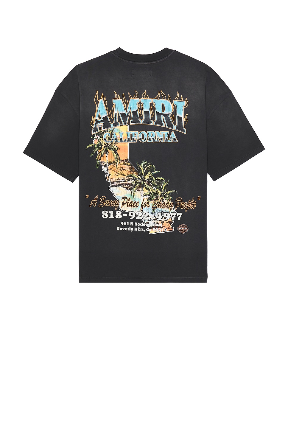 

Футболка Sunny Place Amiri, Black