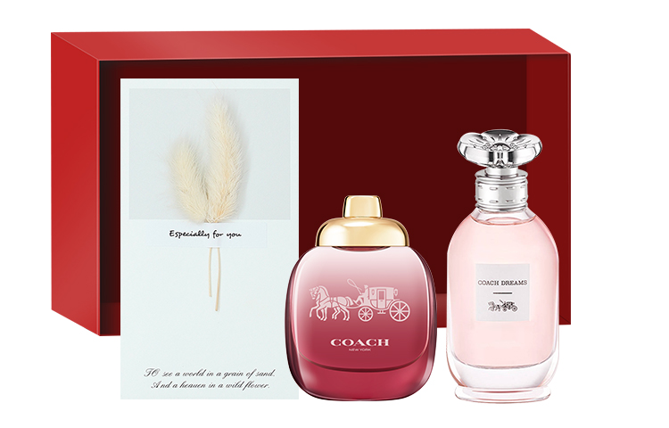 

Женская туалетная вода new york образец комплекты одежды два предмета туалетная вода 4,5мл*2 COACH