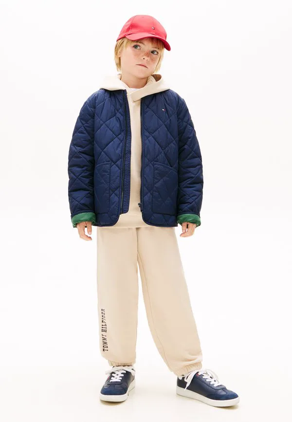 Спортивные штаны из махровой ткани с волнистым логотипом в виде флага Tommy Hilfiger, Classic Beige — фото 2