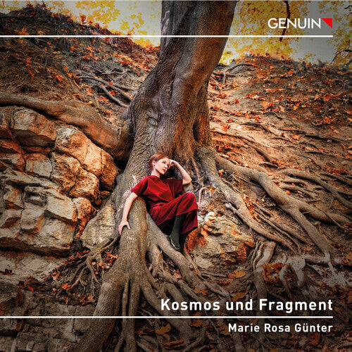 

CD диск Kallmeyer / Webern / Beethoven: Kosmos Und Fragment