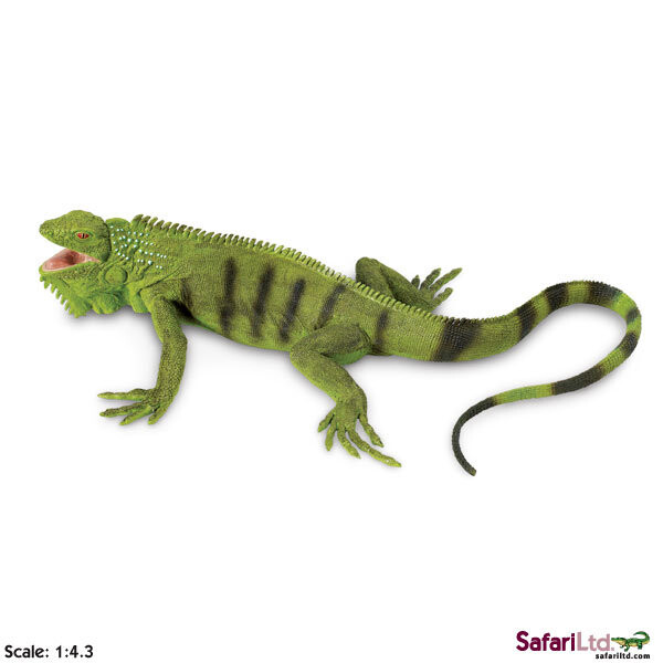 

XL Safari Ltd 267729 Зеленая игуана 28x14см масштаб 1:4,3