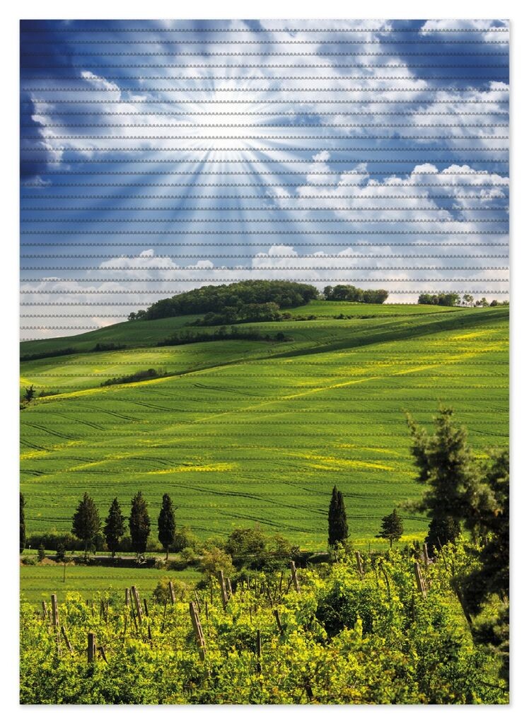 

Коврик для душа Wallario, нескользящий коврик, коврик для ванной, коврик для двери, яркий солнечный свет, размер ок. 70 х 50 см, зеленый