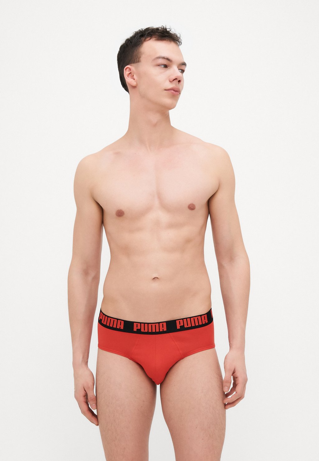 

Трусы-брифы MEN EVERYDAY BRIEFS 2 PACK Puma, мультиколор