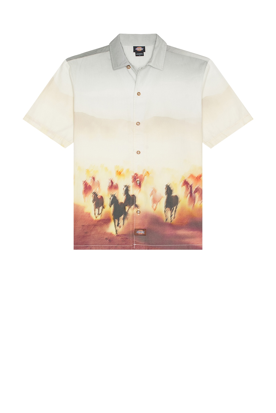 

Футболка с коротким рукавом "Running wild" Dickies, oak buff