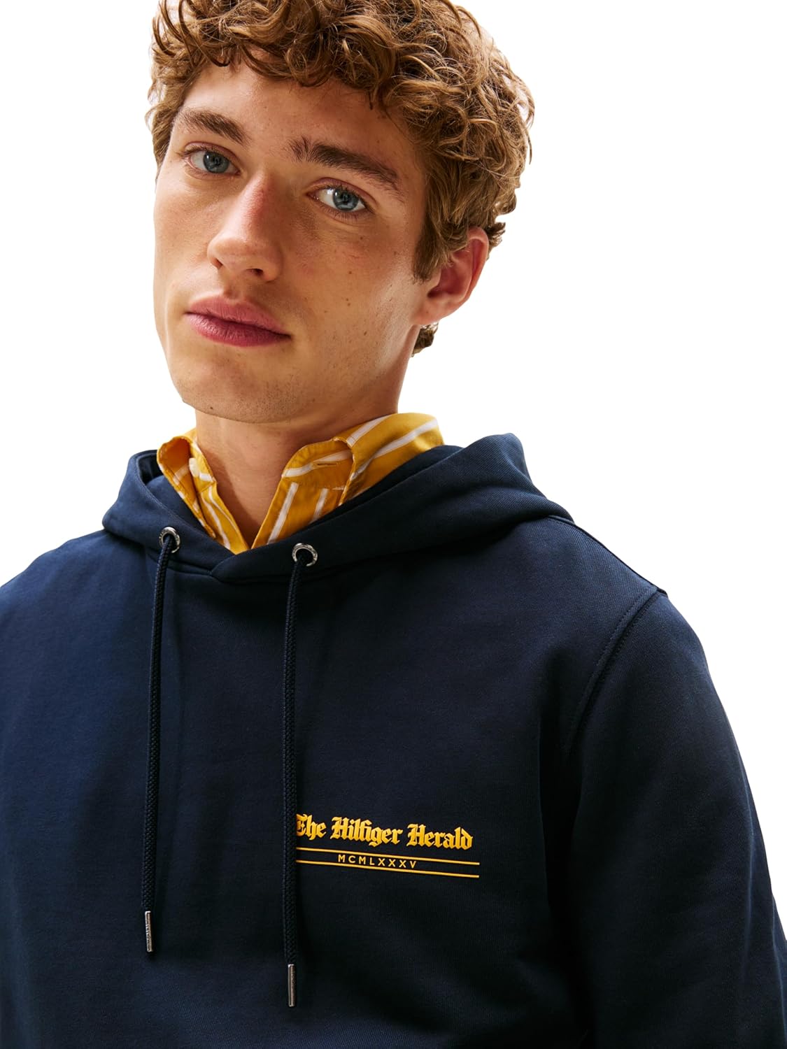 Мужская хлопковая толстовка средней плотности Tommy Hilfiger с фирменным графическим логотипом Herald, Desert Sky — фото 2