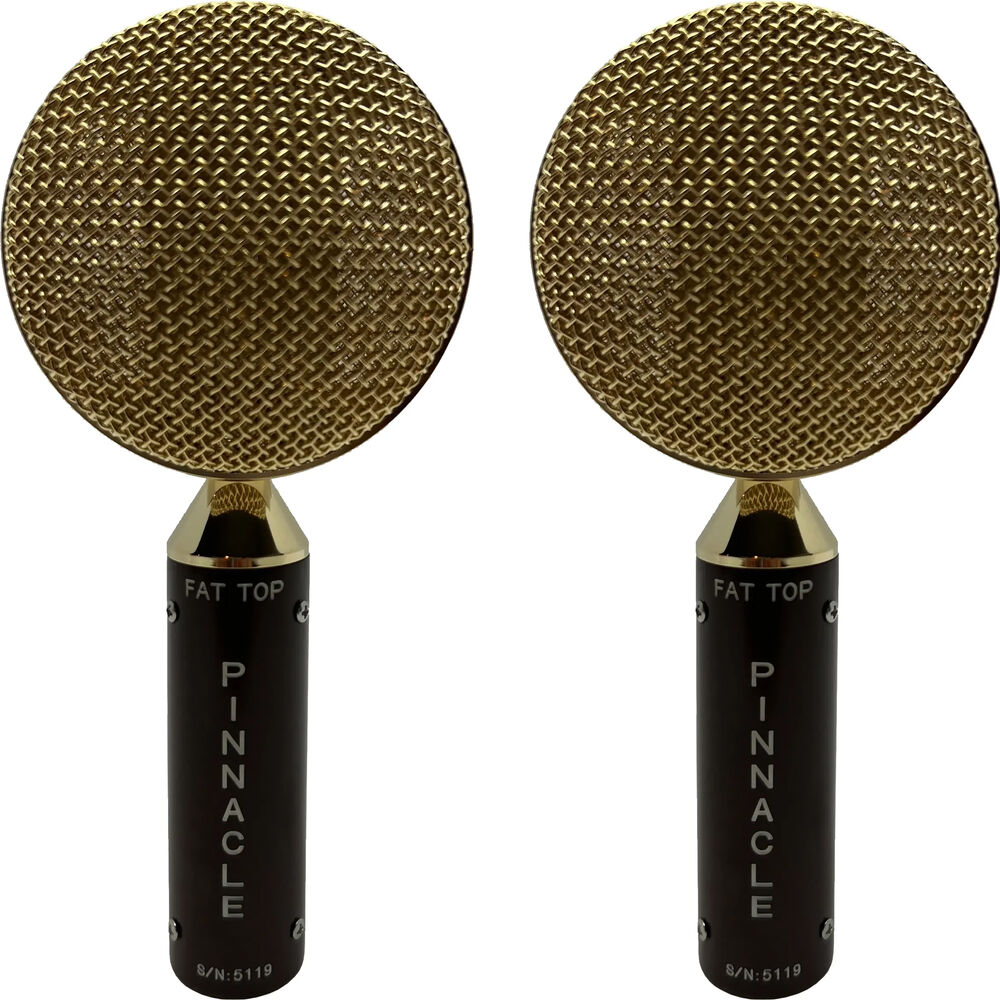 

Ленточный микрофон Pinnacle Microphones FAT Top Ribbon Microphones D-FT-ST-G