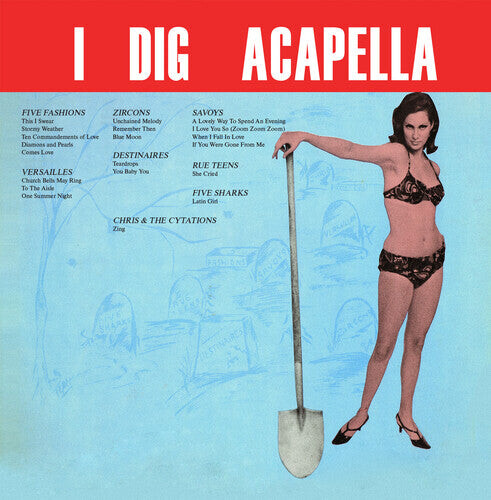 

CD диск Various Artists: IDigAcappella(2023Remaster)