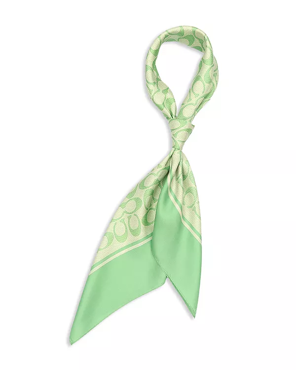 

Текстурированный шелковый квадратный шарф с фирменным принтом «с» Coach, зеленый