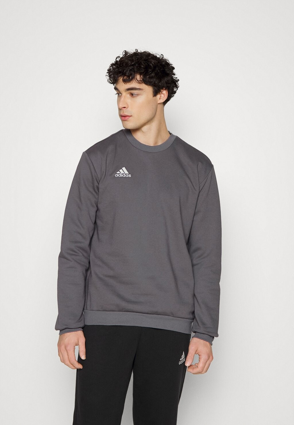 

Толстовка Adidas ENTRADA, цвет Team Grey Four, Серый, Толстовка Adidas ENTRADA, цвет Team Grey Four