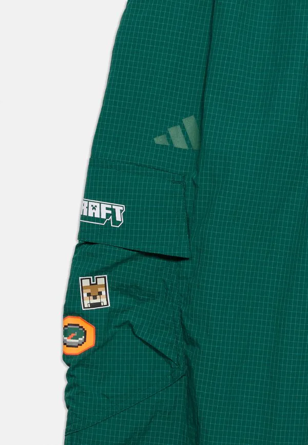Унисекс спортивные штаны minecraft Adidas Terrex, Collegiate Green — фото 4