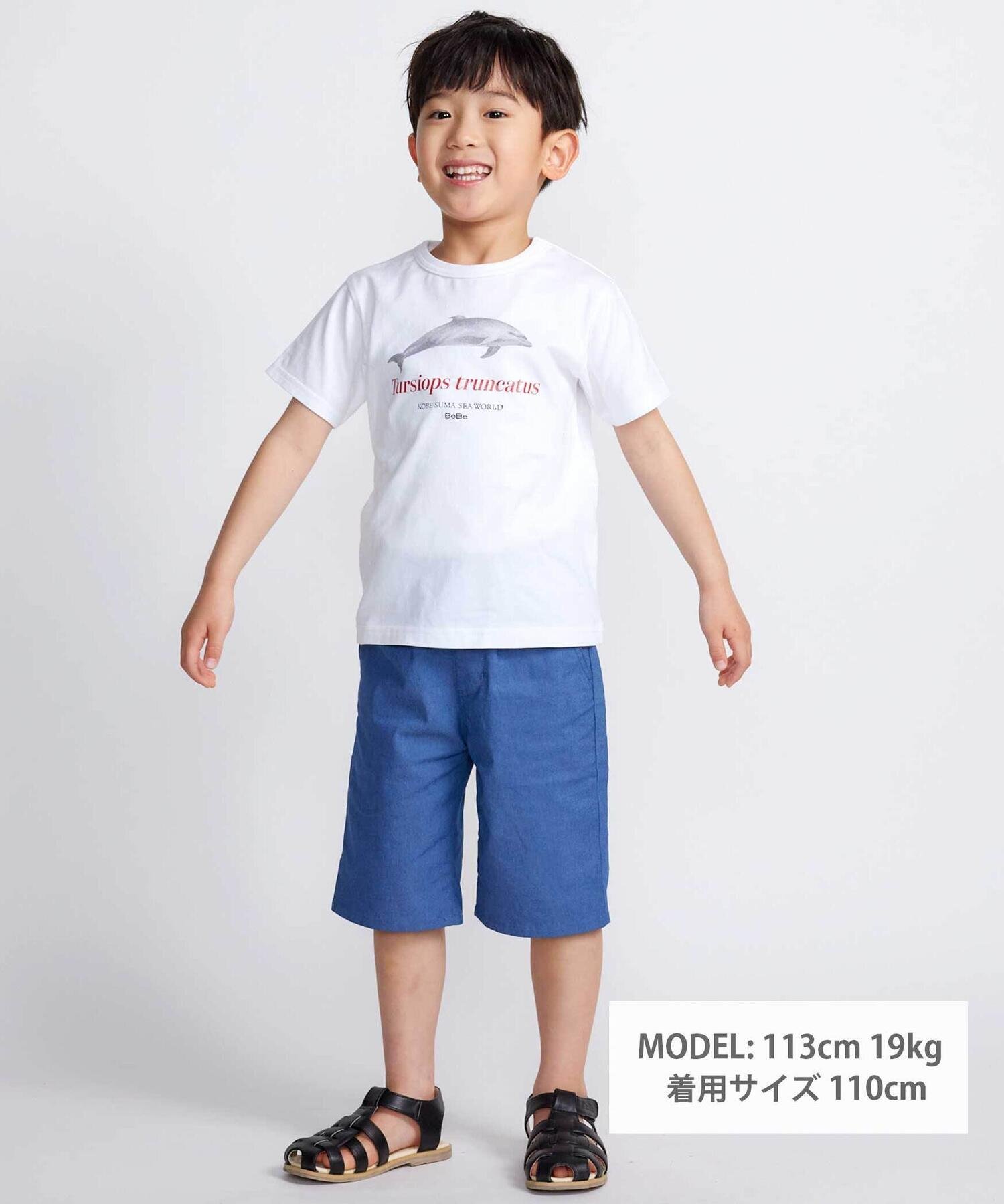Футболка с коротким рукавом с изображением косатки и дельфина (80-140 см) BeBe, White — фото 2