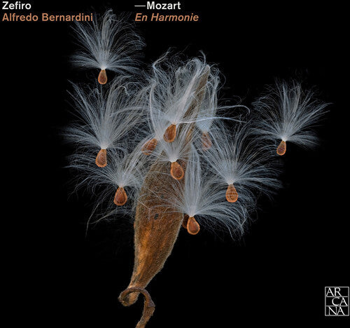 

CD диск Mozart: En Harmonie