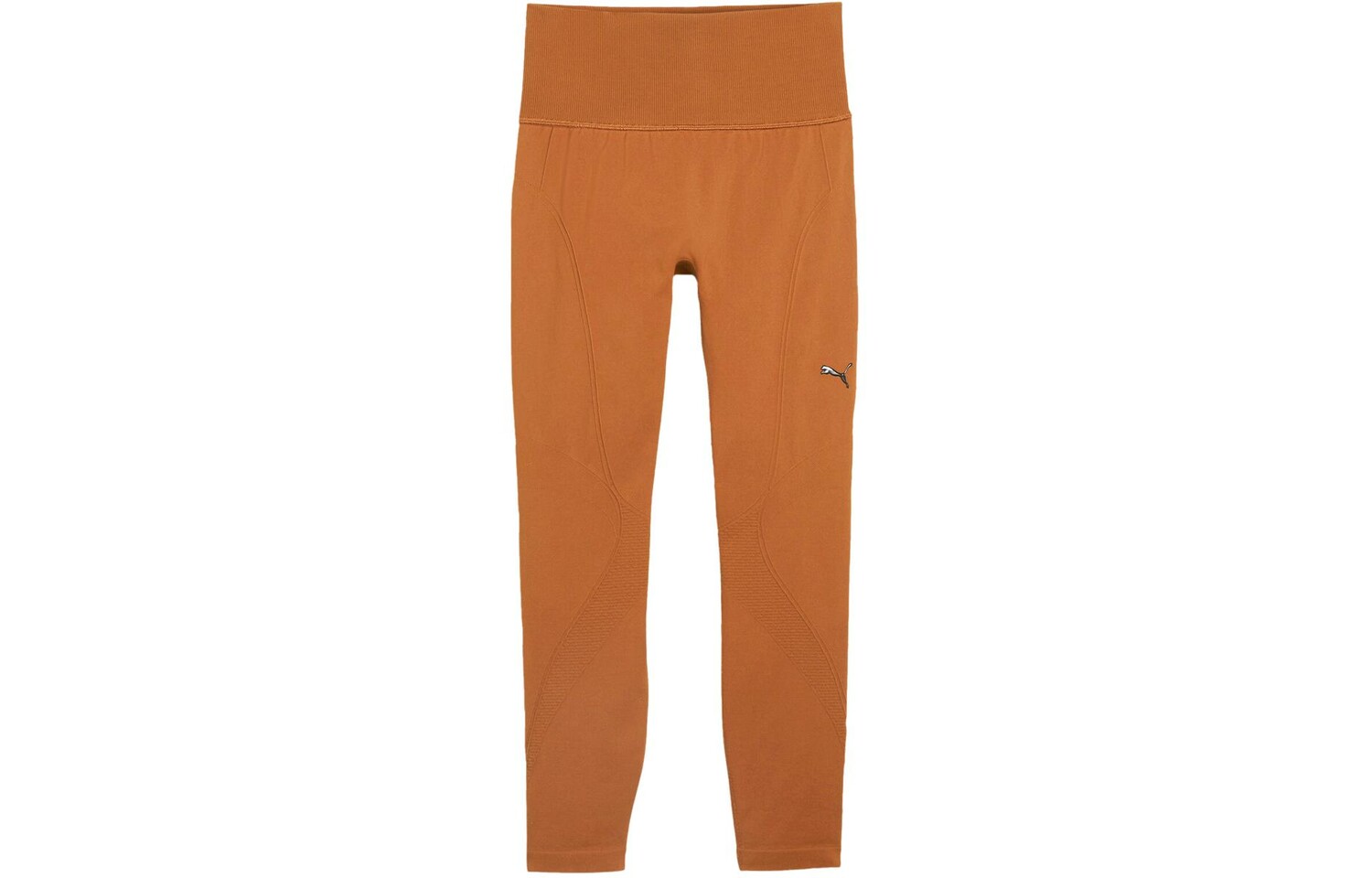 

Спортивные брюки женские тикового цвета Puma