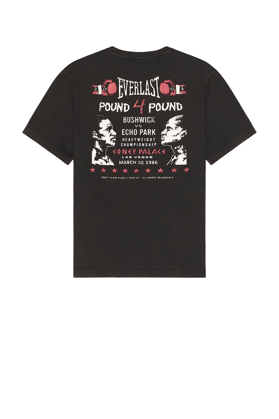 

X everlast фунт 4 фунта футболка Coney Island Picnic, цвет caviar