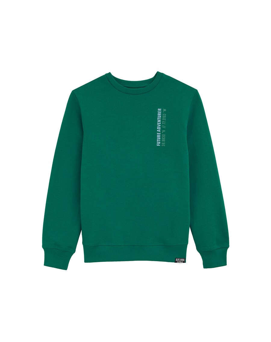 

Худи WE Fashion Sweatshirt, изумрудный
