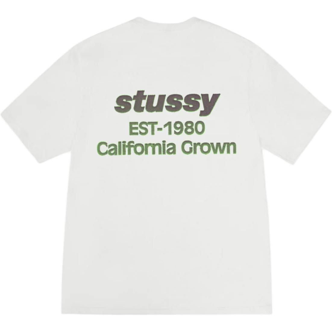 Калифорнийская футболка Pigment Dyed Stussy, синий — фото 4