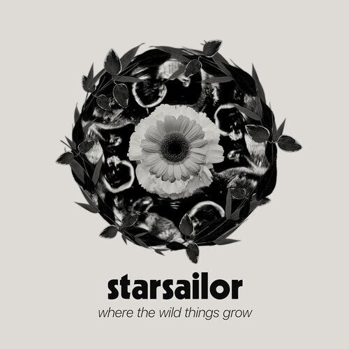 

CD диск Starsailor: Where The Wild Things Grow