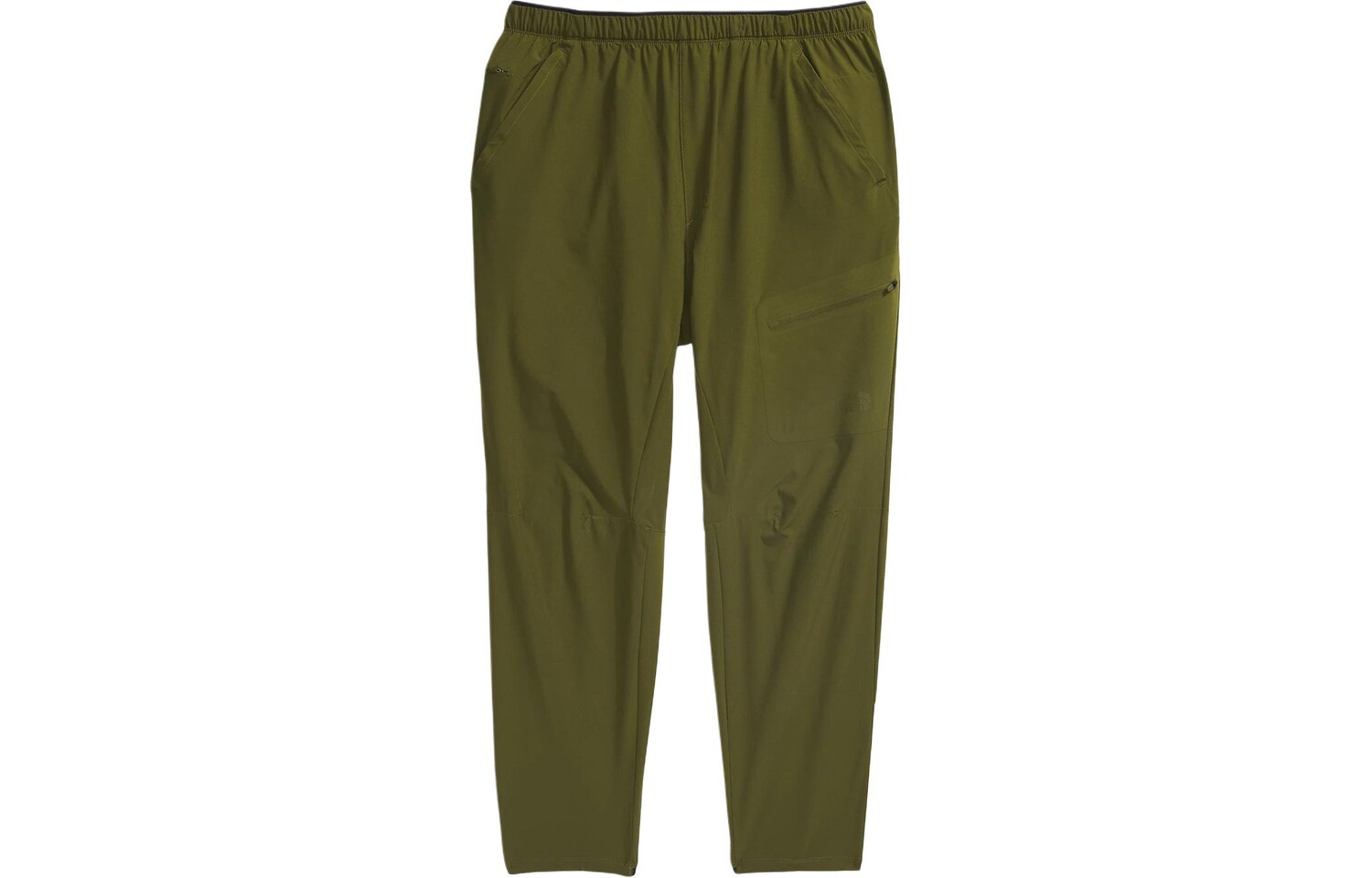 

Повседневные брюки мужские оливково-зеленые The North Face, оливково-зеленый