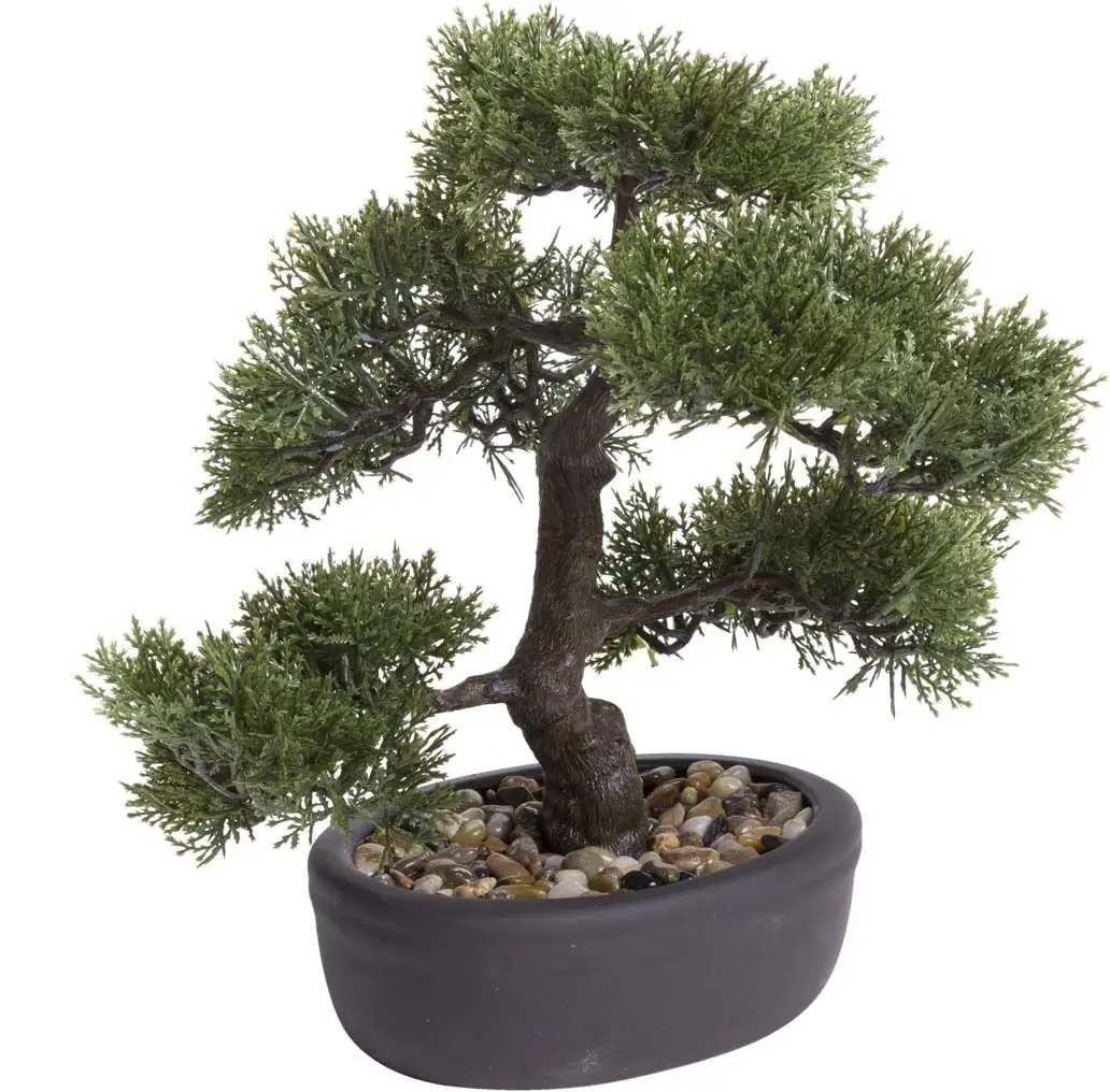 

Искусственный бонсай Botanic-Haus "Ceder Bonsai" Ø/32х32 см, зеленый
