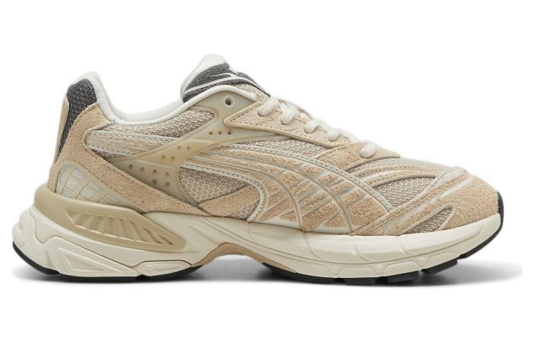 PUMA Велофасис Сд Гранола Альпийский снег - Овсянка, цвет Oat — фото 2