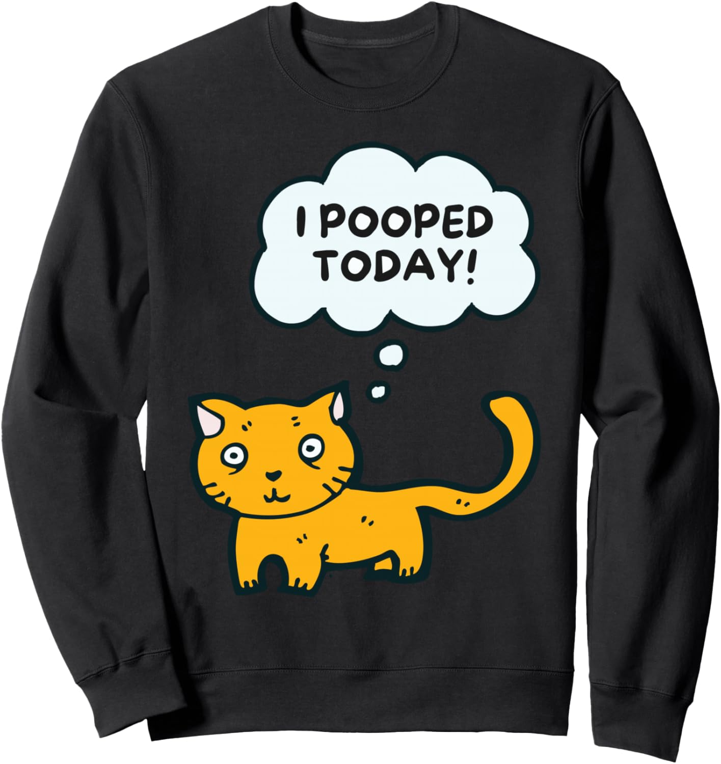 

Я сегодня покакал. Забавная саркастическая толстовка с котиком на рождественскую тематику Pooped Today Funny Sarcastic Christmas Cat, черный