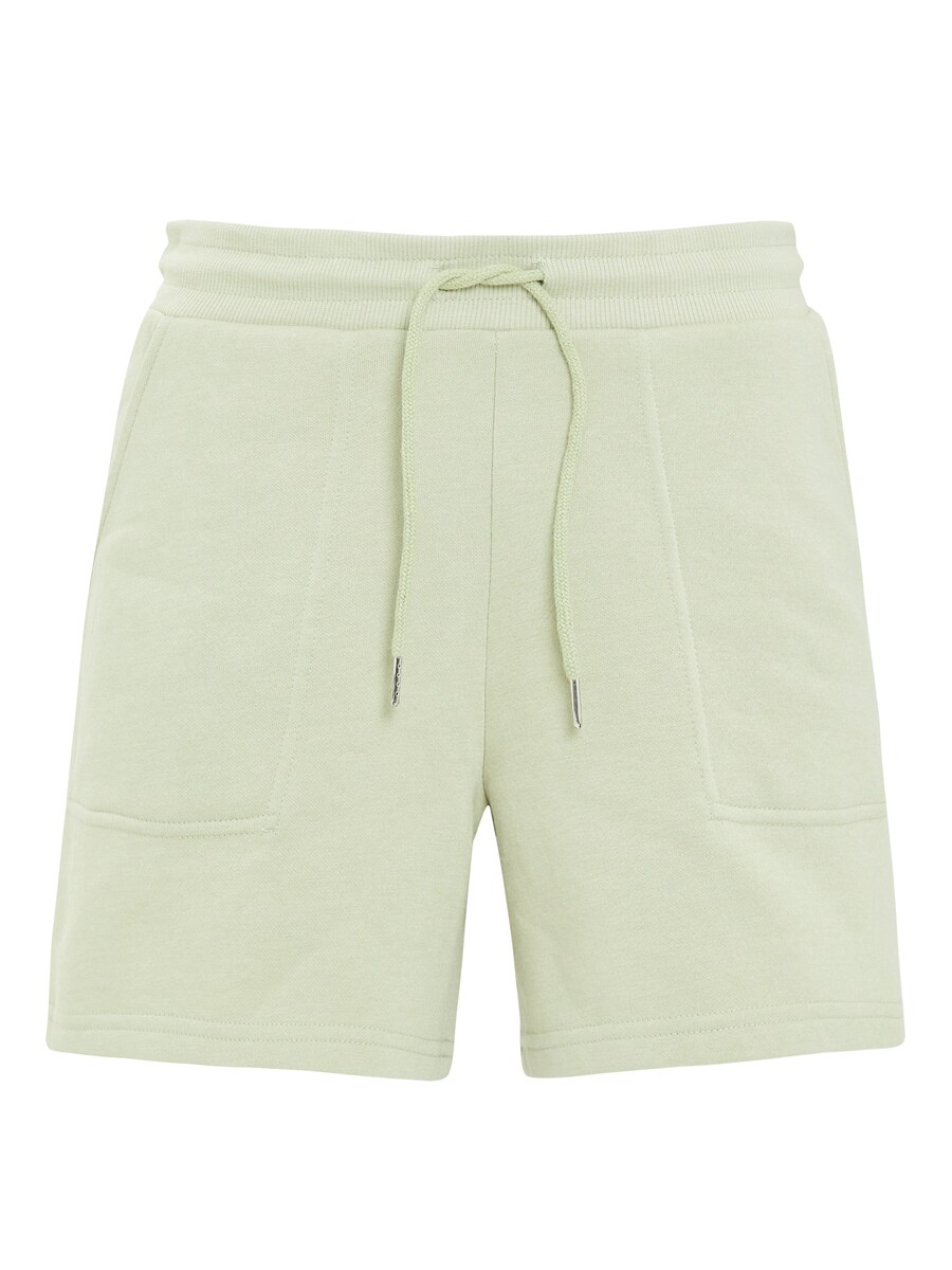 

Обычные брюки Threadbare Spencer, пастельный зеленый