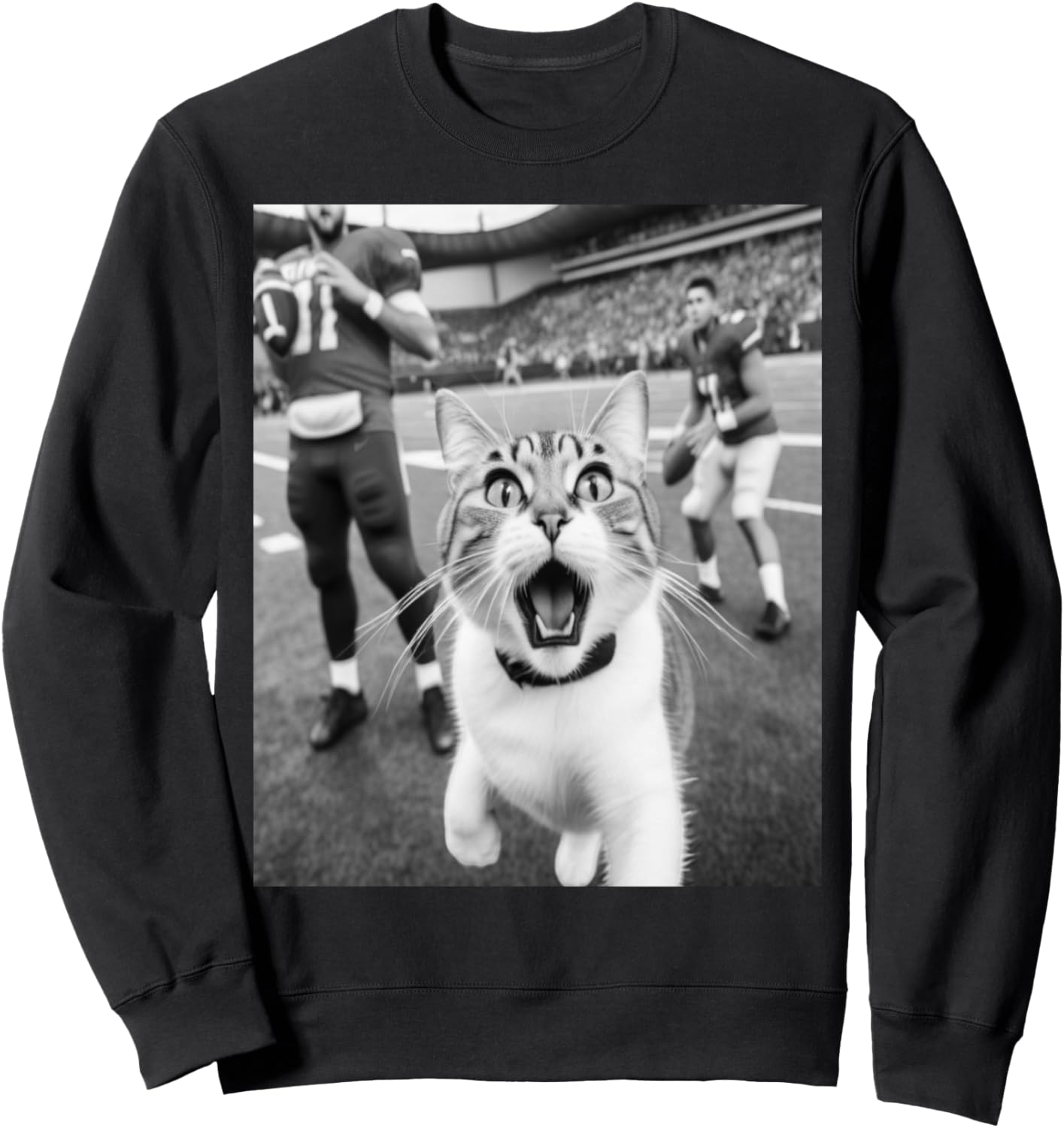 

Толстовка PanfurWare LLC с забавным селфи с котом на футбольном матче, черный