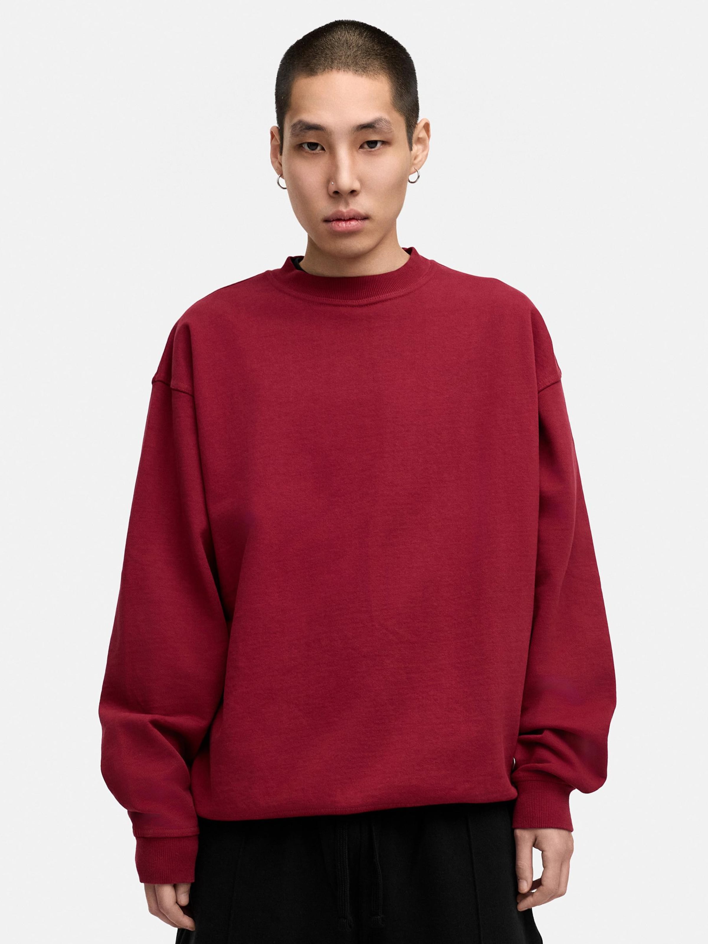 

Daily Cotton Свитшот 'DCASHEVILLE' красный
