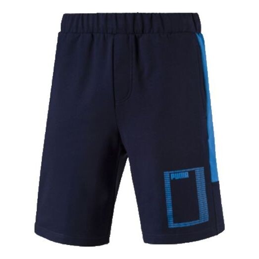 

Шорты summer rebel lightweight shorts 'blue' Puma, синий