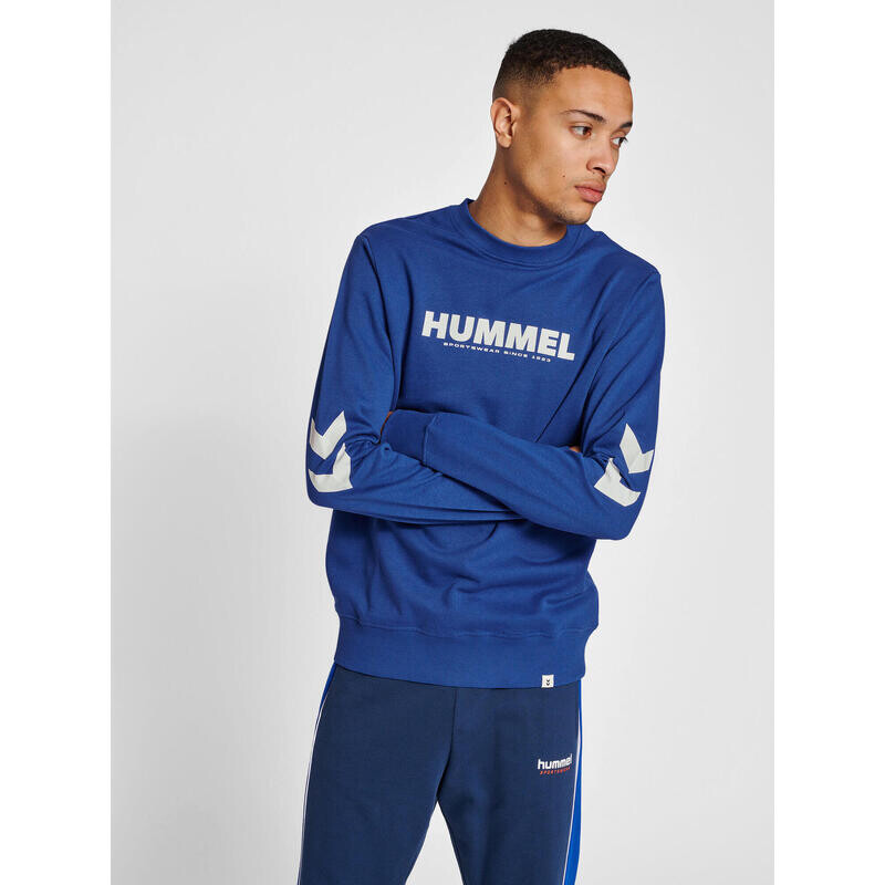 

Спортивная толстовка Hummel, цвет dunkelblau/blau/blau