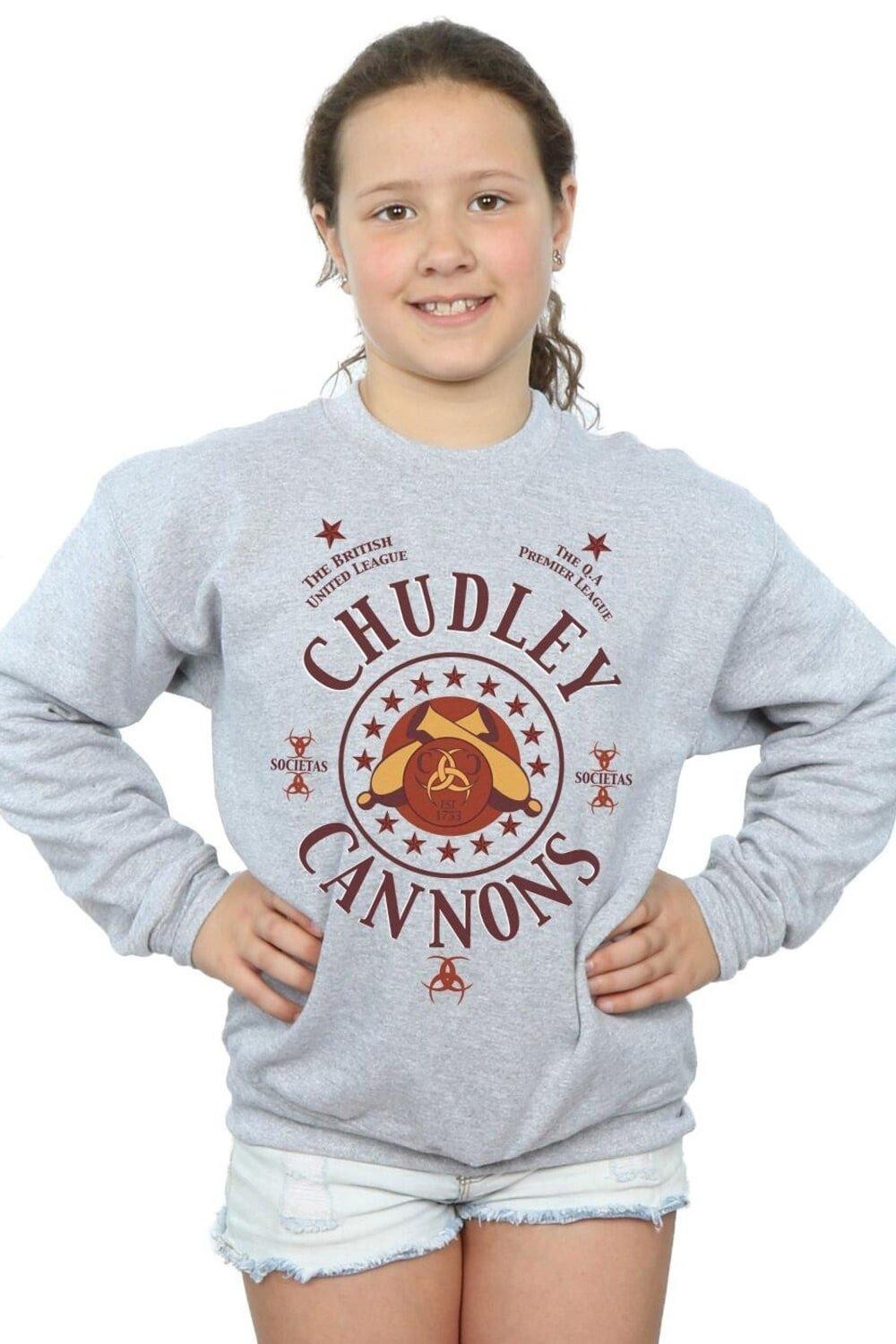 

Толстовка с логотипом Chudley Cannons Harry Potter, серый