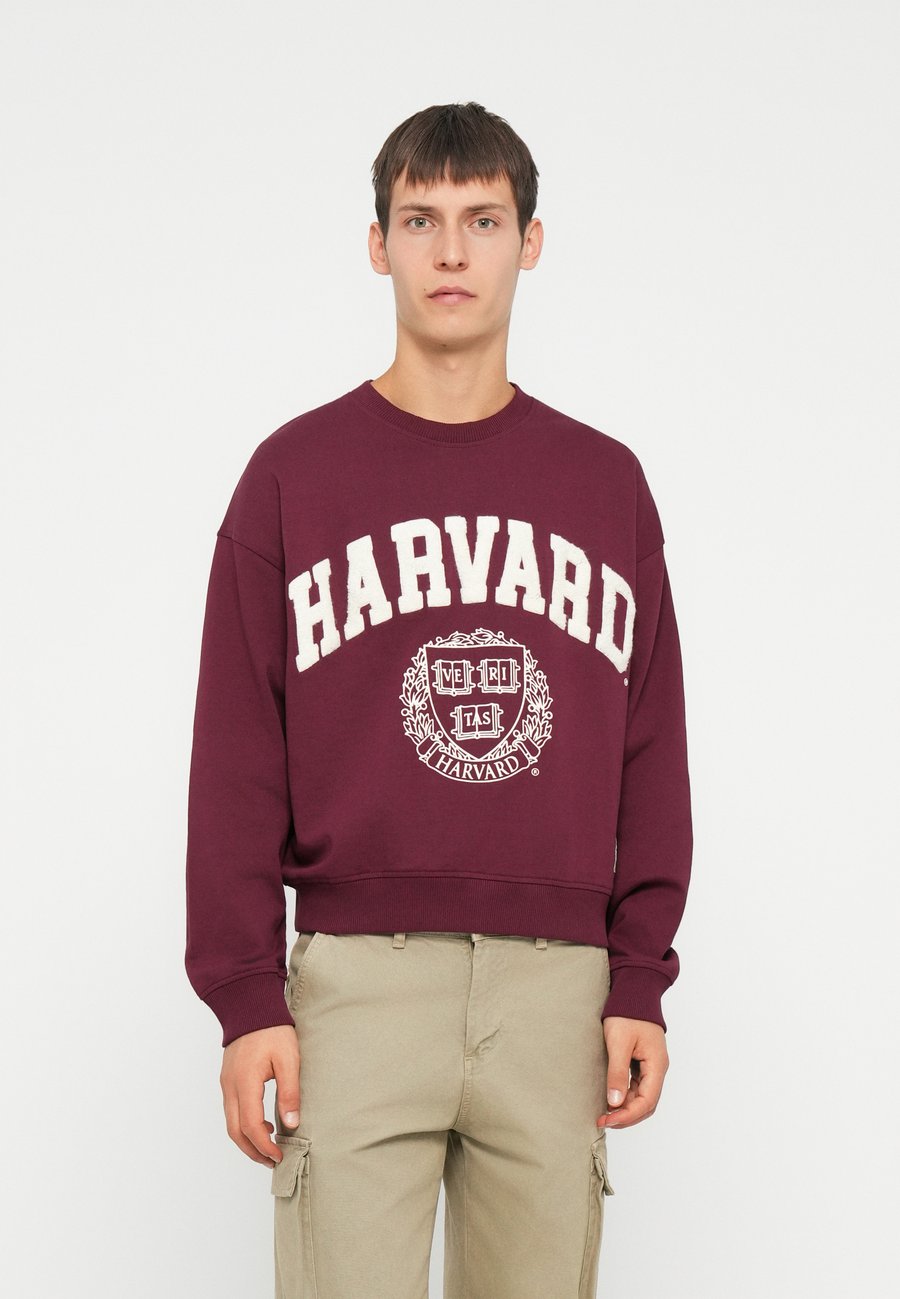 

Толстовка Jack & Jones JORHARVARD , Maroon/Bordeaux