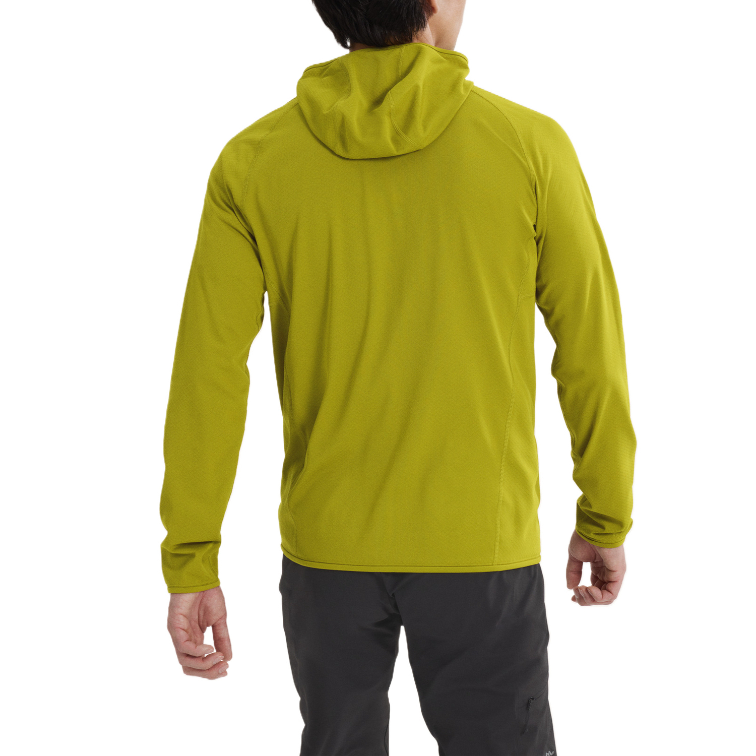 DELTA Куртки Мужские С Капюшоном Умеренные Другие Arcteryx, оливковый moss/euphoria зеленый — фото 4