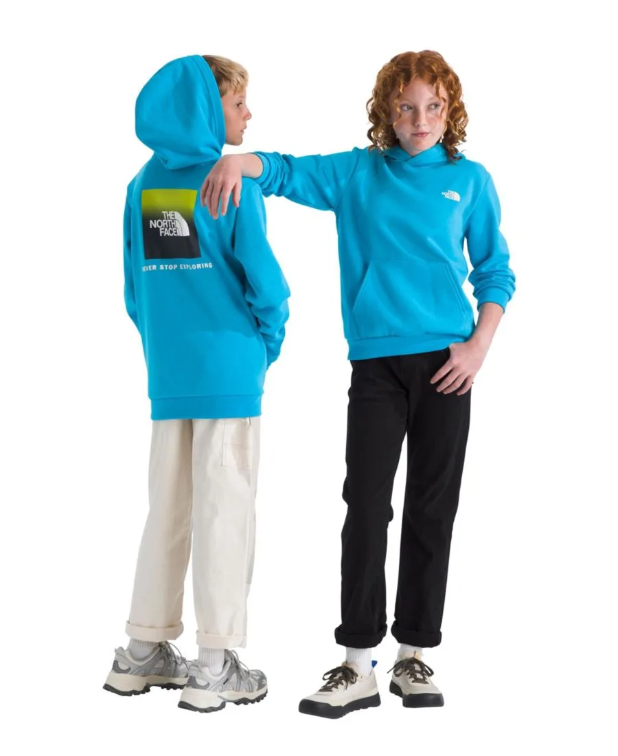 Толстовка Evolution Box Pull-On для мальчиков и девочек 7-20 лет The North Face, meridian синий