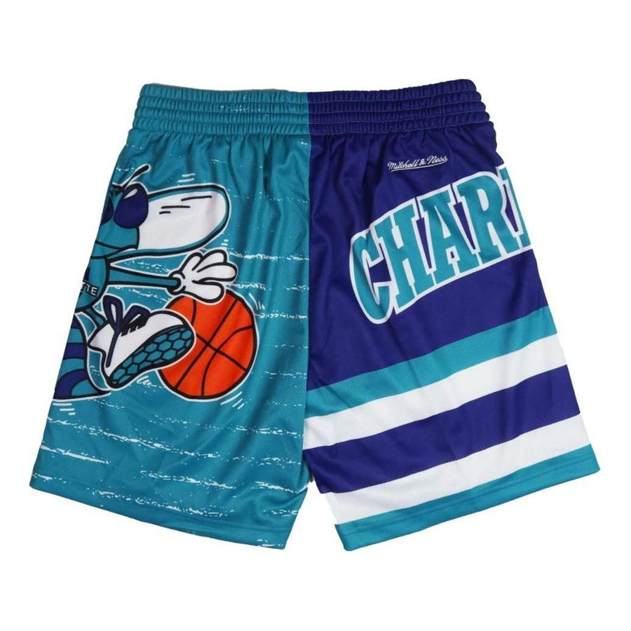 

Спортивные шорты Mitchell & Ness x NBA Charlotte Hornets Jumbotron 3.0 Shorts 'Teal'