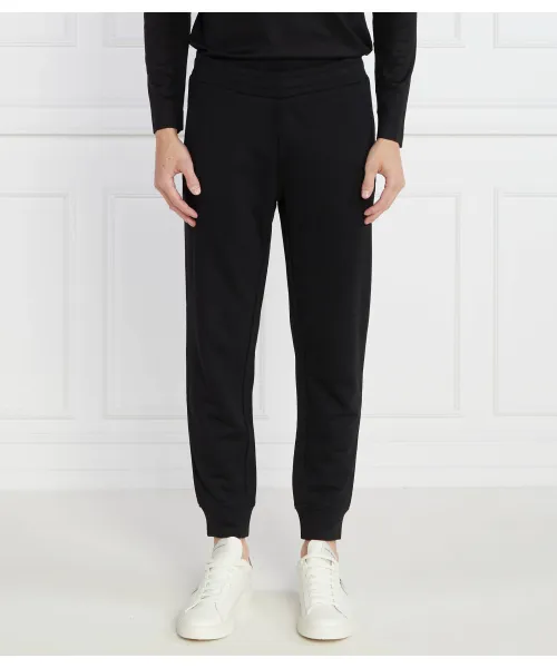 

Спортивные штаны Regular fit Emporio Armani, черный