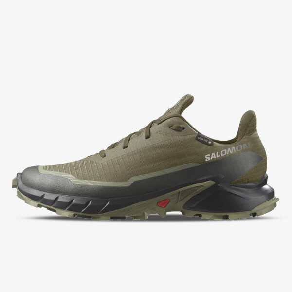 

Кроссовки Alphacross 5 GTX Salomon, зеленый