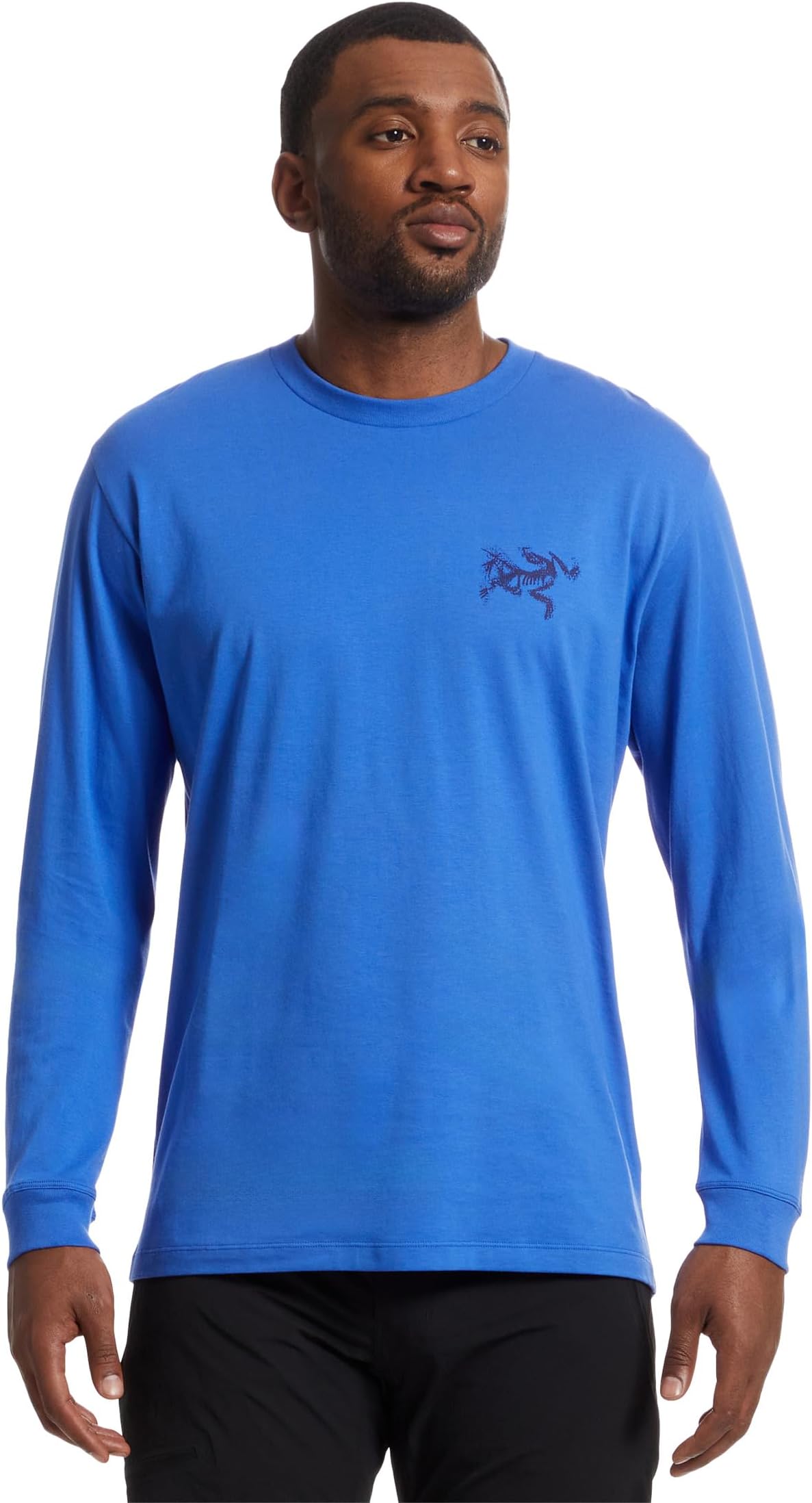 

Лонгслив Arc'teryx Kragg SL Cotton Bird Tile Long Sleeve, цвет Electra/Soulsonic