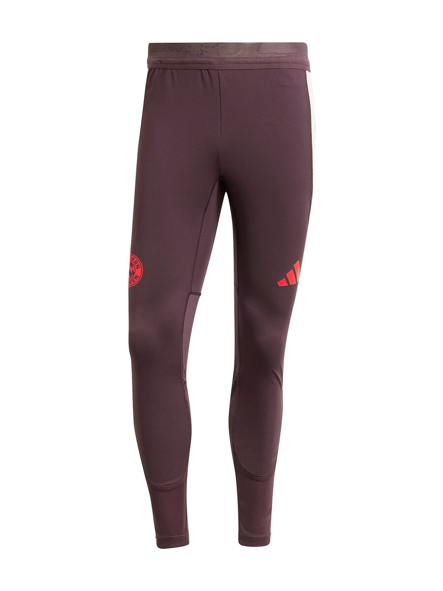 

Спортивные штаны FC BAYERN MÜNCHEN Regular Workout Pants, бордо