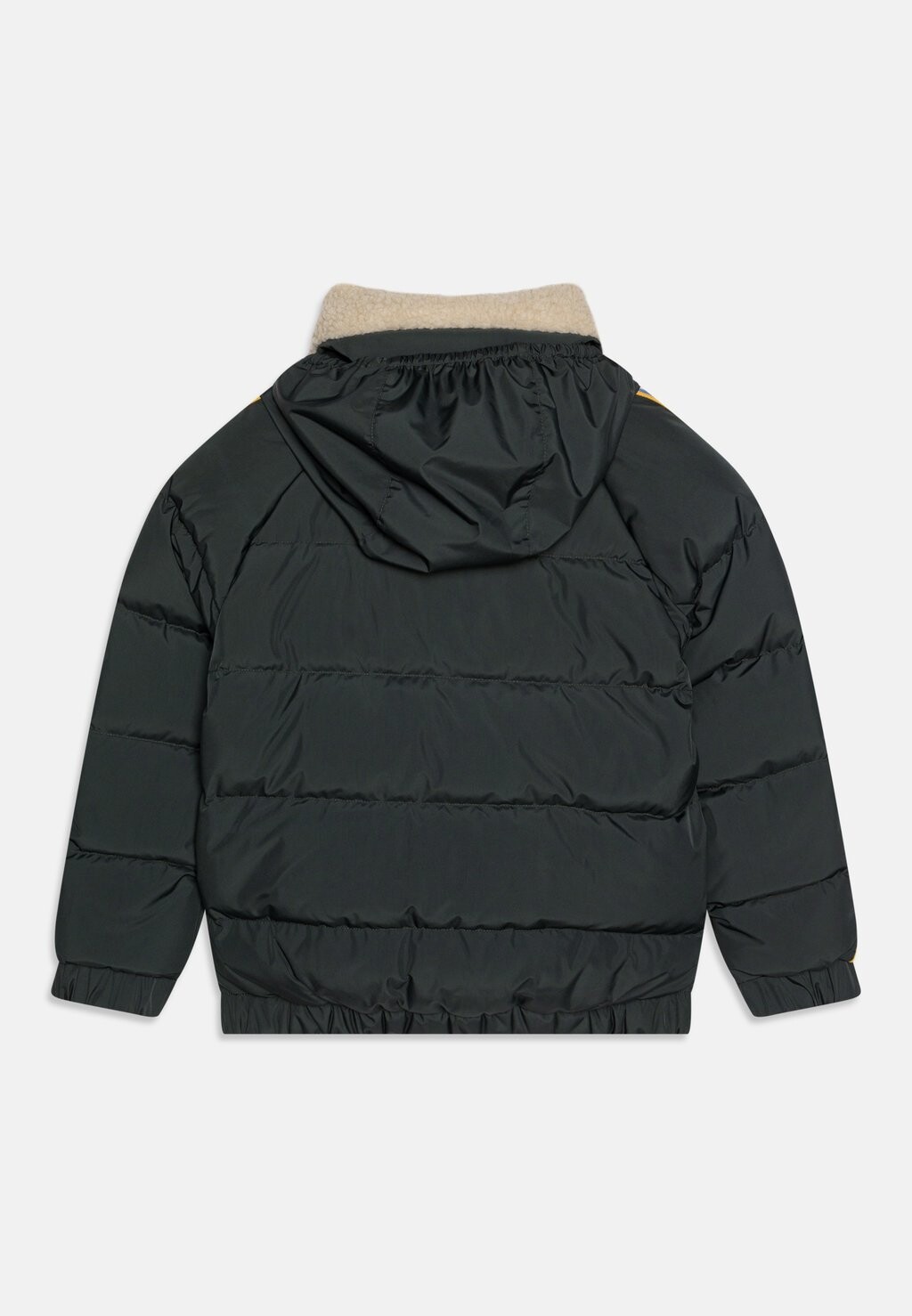 

Зимняя куртка PYRENEX DEER UNISEX Bonton, зеленый