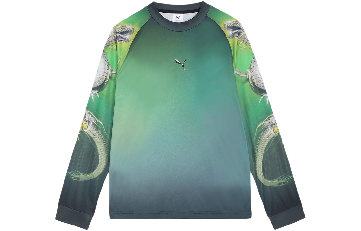 

Мужская футболка Puma, цвет Black