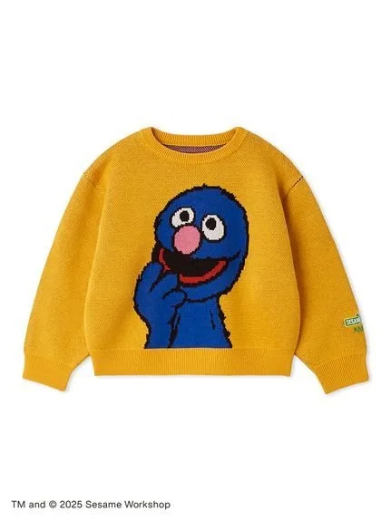 Вязаный пуловер Sesame Street Market, YEL[032]
